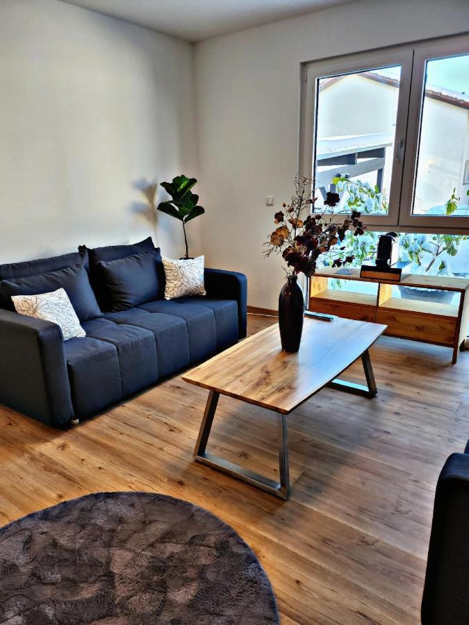 Lions Place Premium Apartments Comfort Optionaler Zugang Zum Spa- Bereich Heidenheim an der Brenz Esterno foto