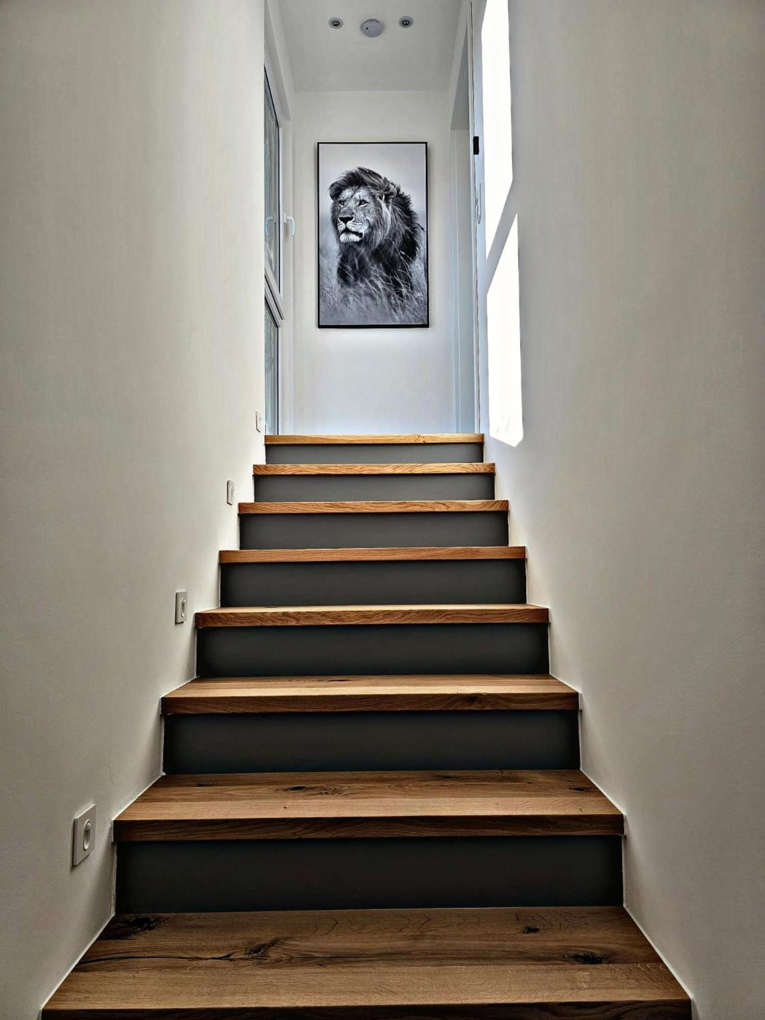 Lions Place Premium Apartments Comfort Optionaler Zugang Zum Spa- Bereich Heidenheim an der Brenz Esterno foto