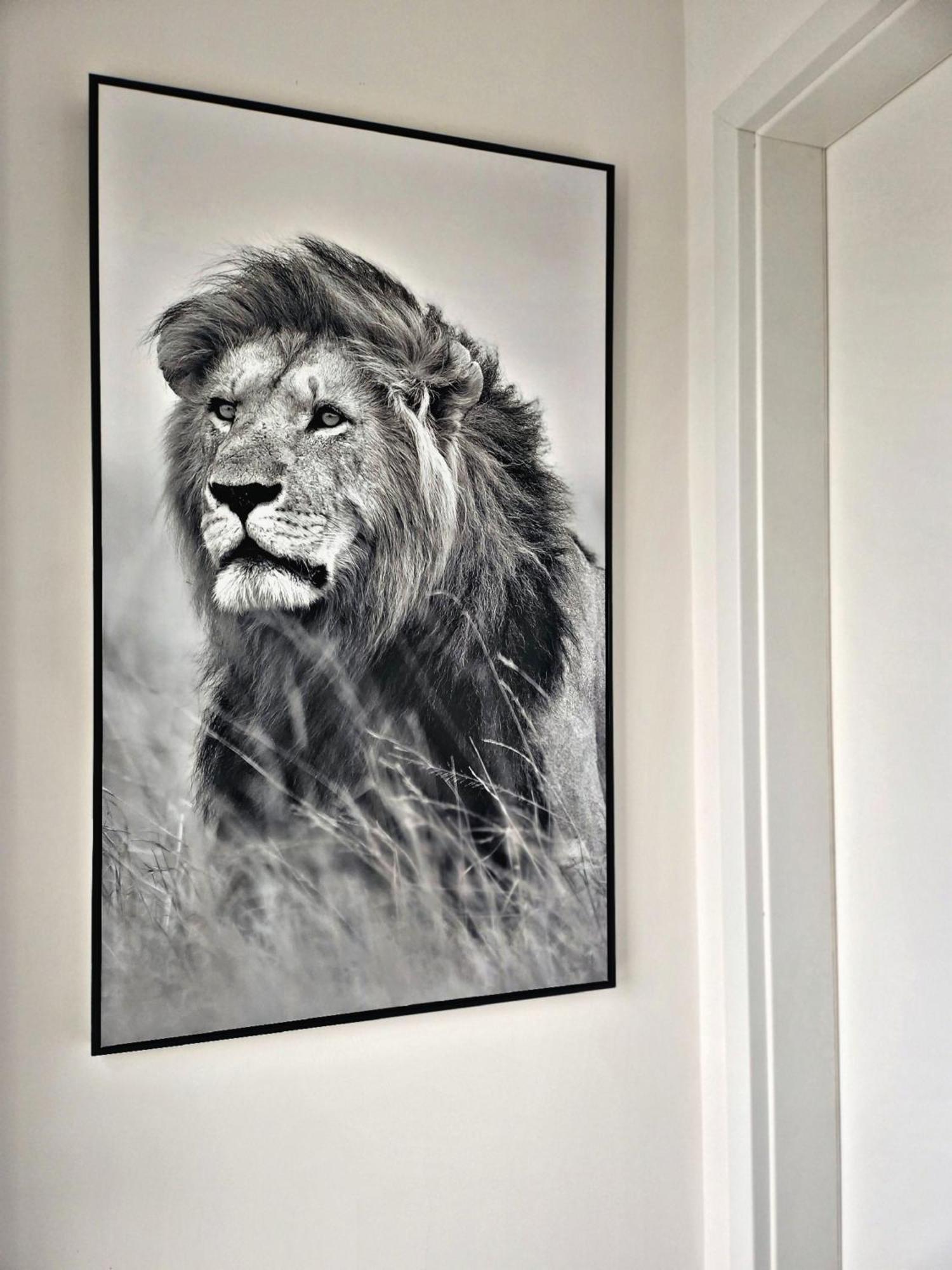 Lions Place Premium Apartments Comfort Optionaler Zugang Zum Spa- Bereich Heidenheim an der Brenz Esterno foto